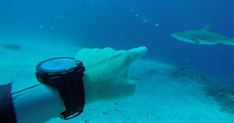 EDOX 超鯊限量潜水表  Sharkman I