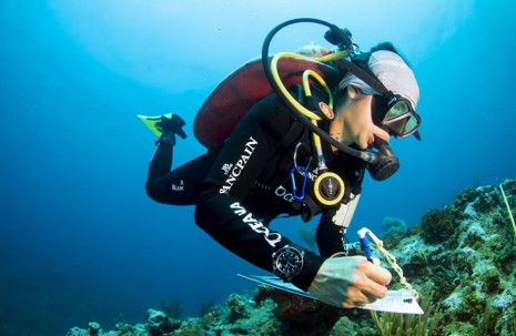 寶珀與國際專業潛水教練協會PADI合作 致力保護全球海洋生態