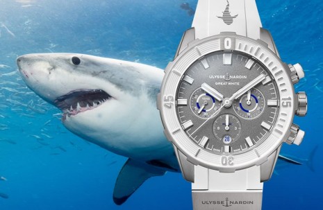 雅典錶潛水系列計時碼錶限量款將捐出部分收益支持全球鯊魚保護工作