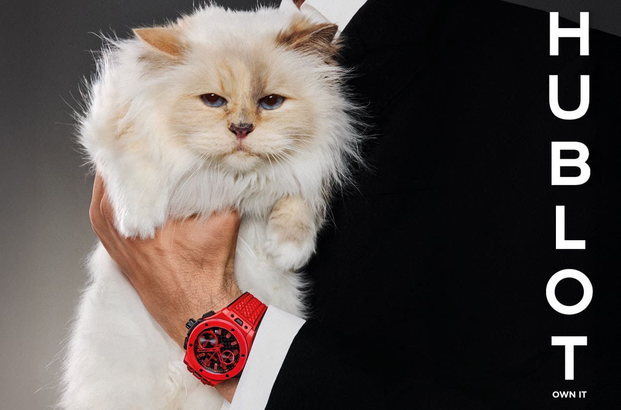 Big Bang 20週年宣告風格主權 宇舶新宣言“Own It”由名貓Choupette代言