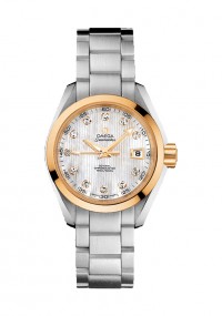 OMEGA 欧米茄 SEAMASTER SEAMASTER 海马 系列231.20.30.20.55.004