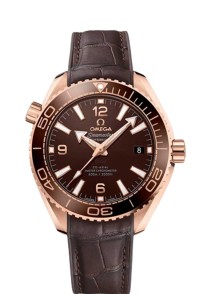 OMEGA 歐米茄 SEAMASTER 海馬 系列215.63.40.20.13.001