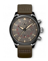 IWC 万国 Pilot 系列IW389002