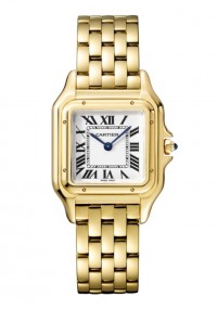 CARTIER 卡地亚 PANTHÈRE DE CARTIER 系列WGPN0009