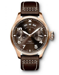 IWC 万国 Pilot 系列IW502706