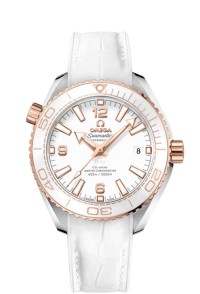 OMEGA 歐米茄 SEAMASTER 海馬 系列215.23.40.20.04.001