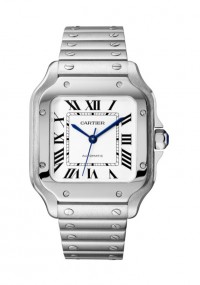 CARTIER 卡地亚 SANTOS DE CARITER  SANTOS DE CARITER 系列WSSA0029