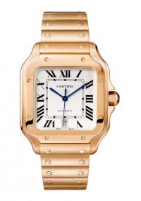 CARTIER 卡地亞 SANTOS DE CARITER  SANTOS DE CARITER 系列WGSA0018