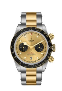 TUDOR 帝舵表 BLACK BAY CHRONO 系列79363n-0007