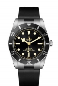 TUDOR 帝舵 BLACK BAY 54 系列79000N-0002
