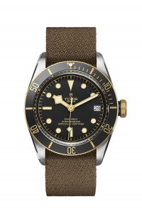 TUDOR 帝舵 BLACK BAY 系列79733n-0005