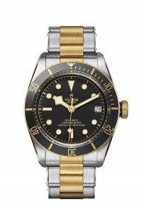 TUDOR 帝舵表 BLACK BAY 系列79733n-0008