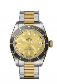 TUDOR 帝舵表 BLACK BAY 系列79733n-0004
