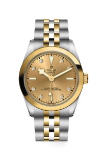 TUDOR 帝舵表 BLACK BAY 31/ 36/ 39/ 41 系列79603-0008