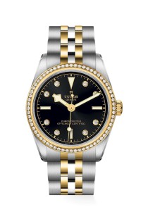 TUDOR 帝舵表 BLACK BAY 31/ 36/ 39/ 41 系列79613-0005