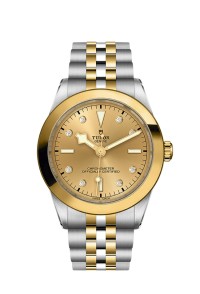 TUDOR 帝舵表 BLACK BAY 31/ 36/ 39/ 41 系列79663-0008