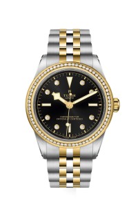 TUDOR 帝舵表 BLACK BAY 31/ 36/ 39/ 41 系列79673-0005