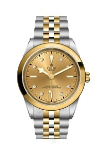 TUDOR 帝舵 BLACK BAY 31/ 36/ 39/ 41 系列79683-0008