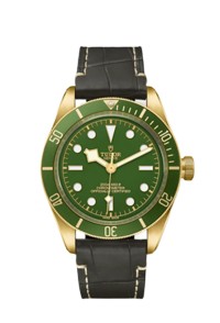 TUDOR 帝舵表 BLACK BAY 58 系列79018v-0001