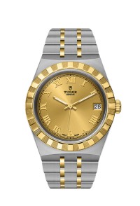 TUDOR 帝舵 TUDOR ROYAL 系列28403-0004
