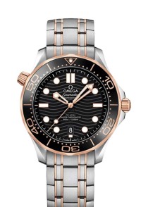 OMEGA 歐米茄 SEAMASTER 海馬 系列210.20.42.20.01.001