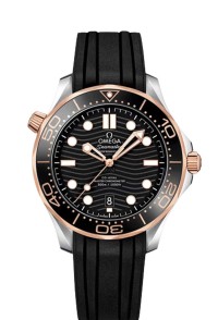 OMEGA 歐米茄 SEAMASTER 海馬 系列210.22.42.20.01.002