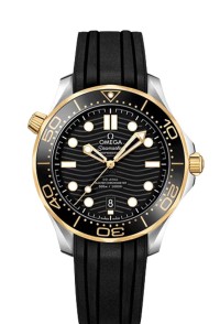OMEGA 歐米茄 SEAMASTER 海馬 系列210.22.42.20.01.001