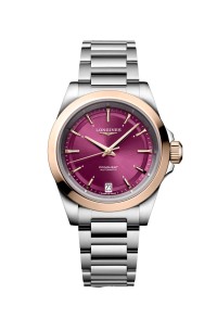 LONGINES 浪琴 CONQUEST 系列L3.430.5.98.6