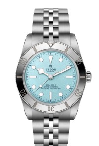 TUDOR 帝舵表 BLACK BAY 54 系列79000-0001